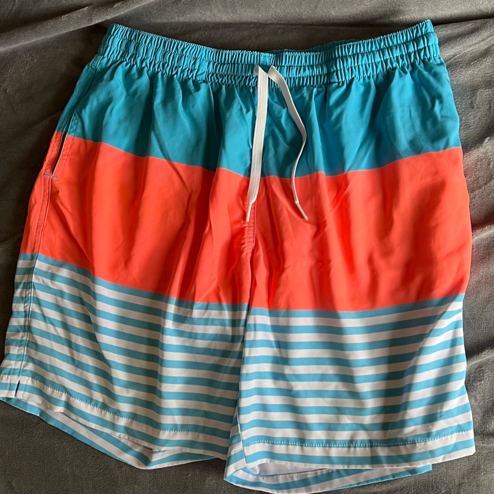 Chubbies Blue Swim Shorts